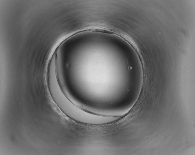 X0000111531104200907141523