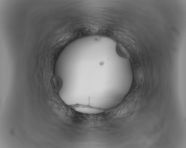 X0000111531105200907141522