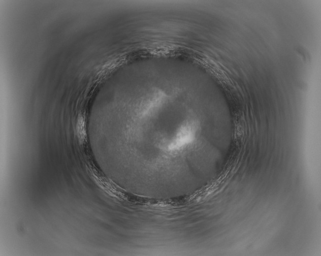 X0000111531106200907141522