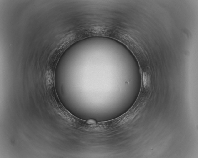 X0000111531107200907141522