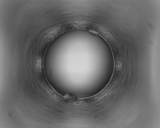 X0000111531108200907141522