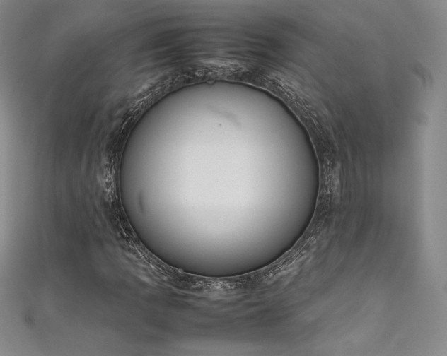 X0000111531109200907141522