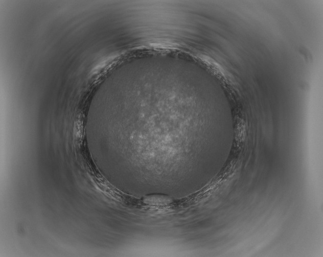 X0000111531110200907141522