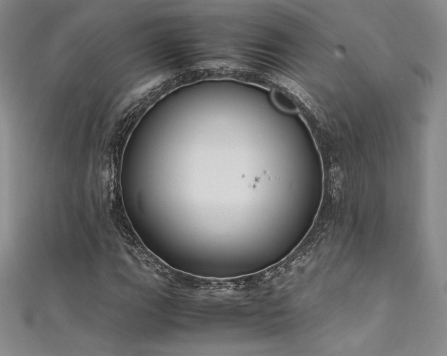 X0000111531111200907141522