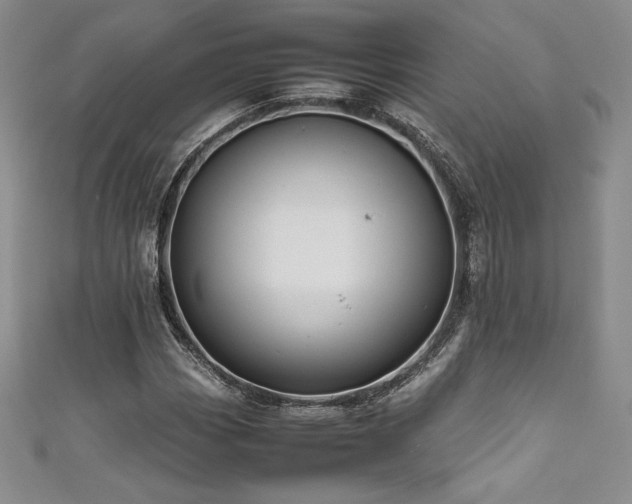 X0000111531113200907141522