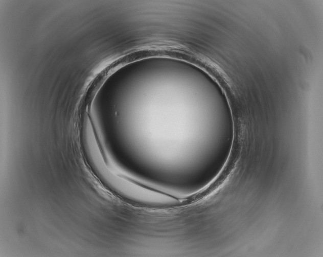 X0000111531114200907141522