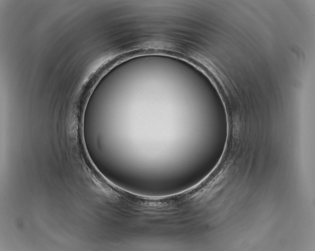 X0000111531115200907141522