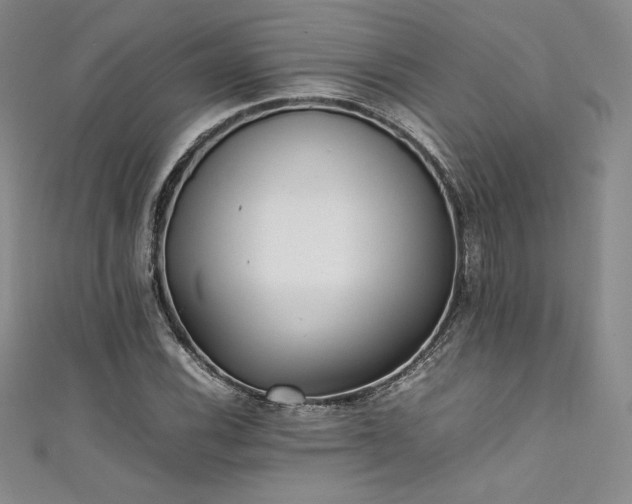 X0000111531116200907141522