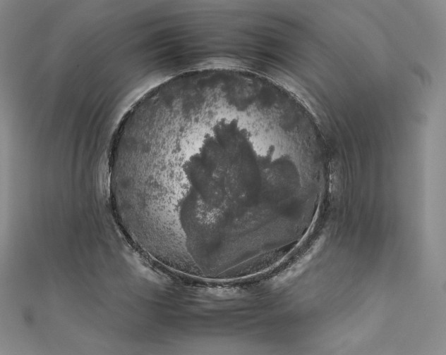 X0000111531117200907141522