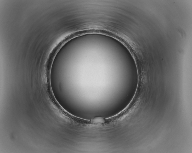 X0000111531118200907141522