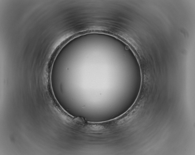 X0000111531119200907141522