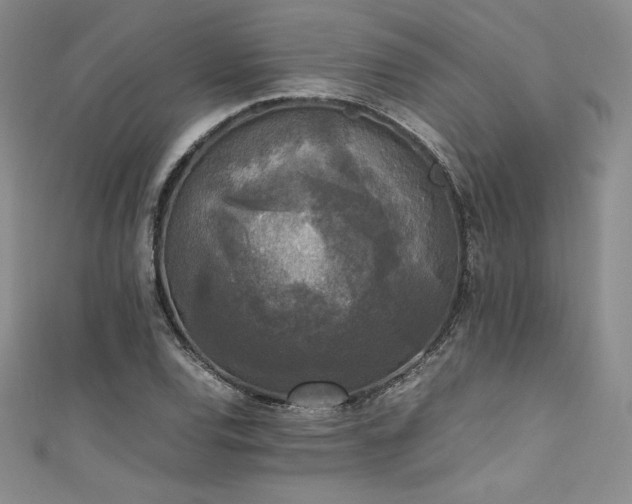 X0000111531120200907141522