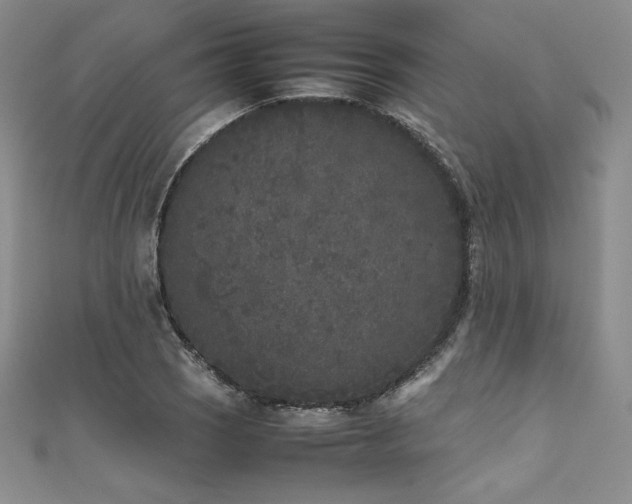 X0000111531121200907141522