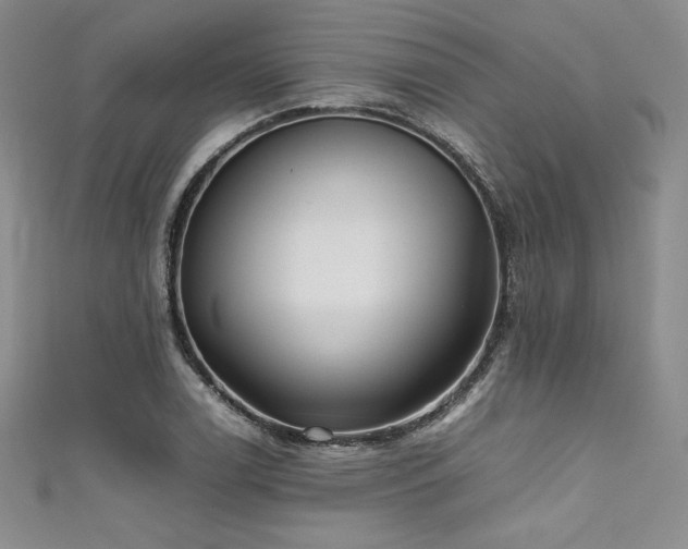 X0000111531122200907141522