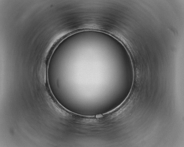 X0000111531123200907141522