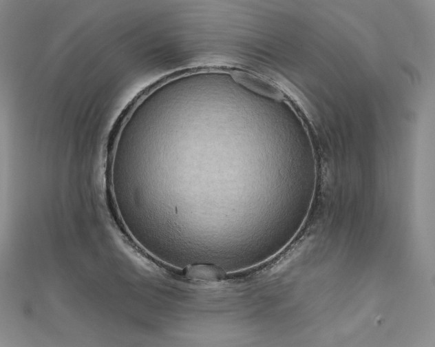 X0000111531124200907141522