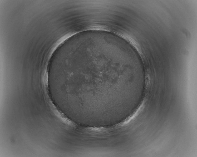 X0000111531125200907141522