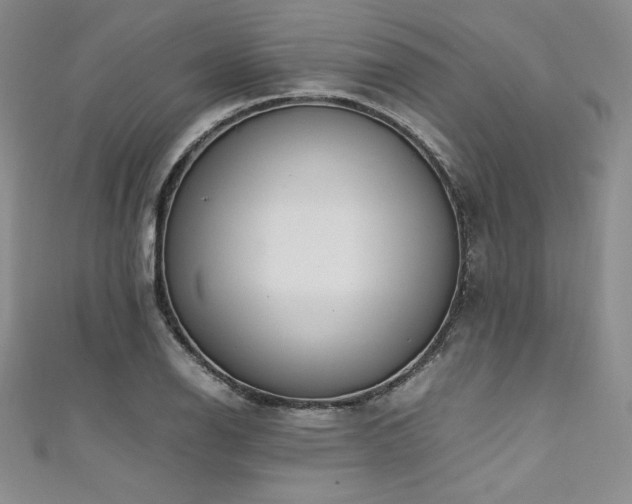 X0000111531126200907141522