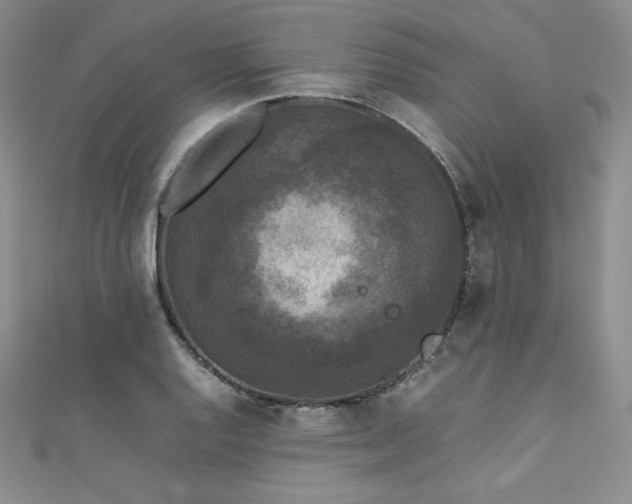 X0000111531128200907141522