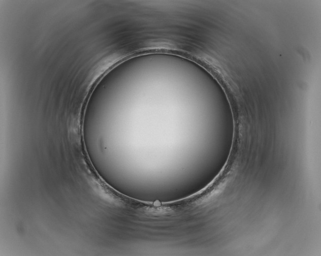 X0000111531129200907141522