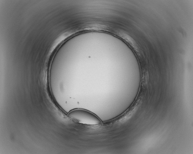 X0000111531130200907141522