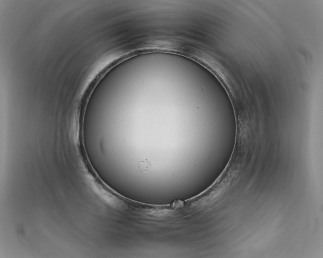 X0000111531131200907141522