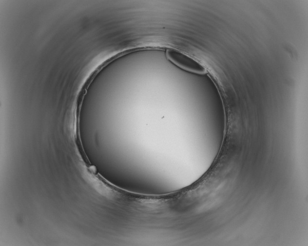 X0000111531132200907141522