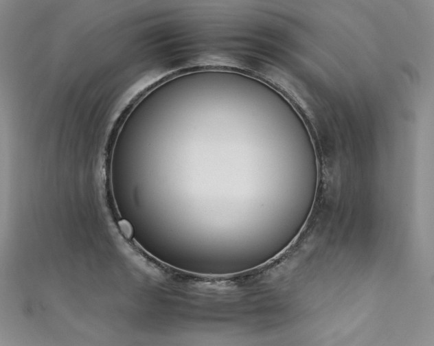 X0000111531133200907141522