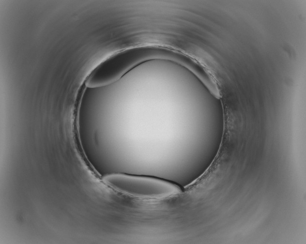 X0000111531134200907141522