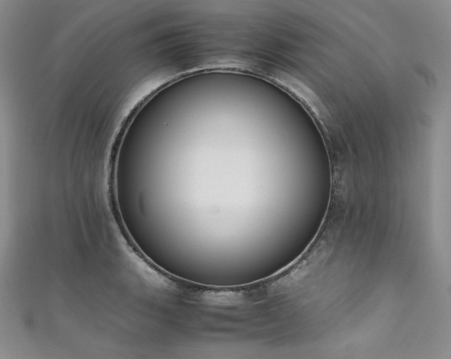 X0000111531135200907141522