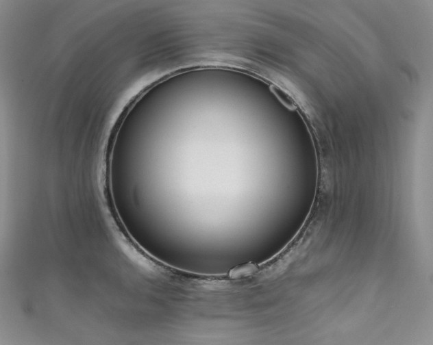 X0000111531136200907141522