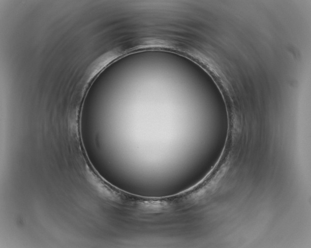 X0000111531137200907141523