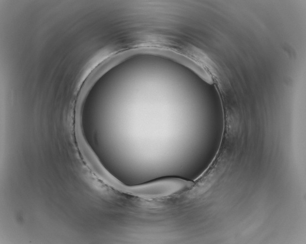 X0000111531138200907141523