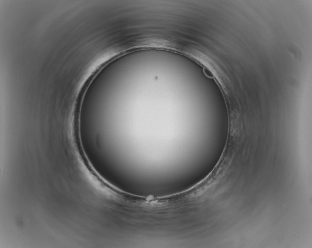 X0000111531139200907141523