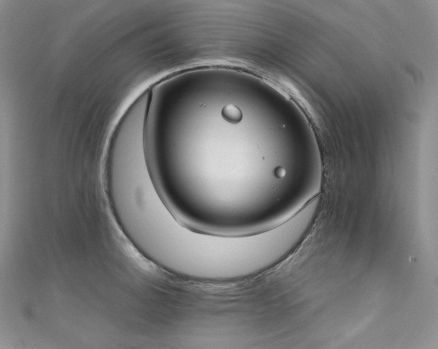 X0000111531140200907141523