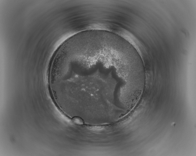 X0000111531141200907141523