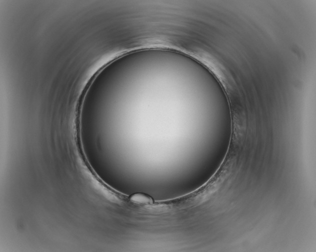 X0000111531142200907141523