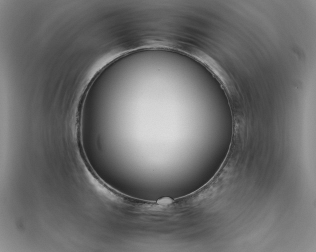 X0000111531143200907141523