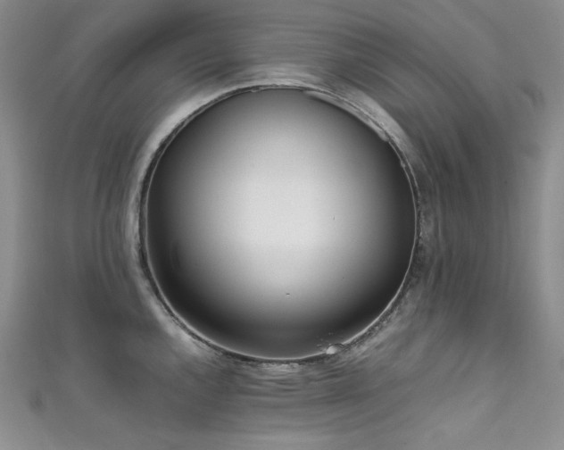 X0000111531144200907141523