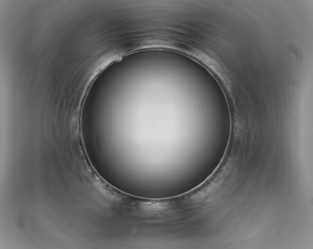 X0000111531145200907141523