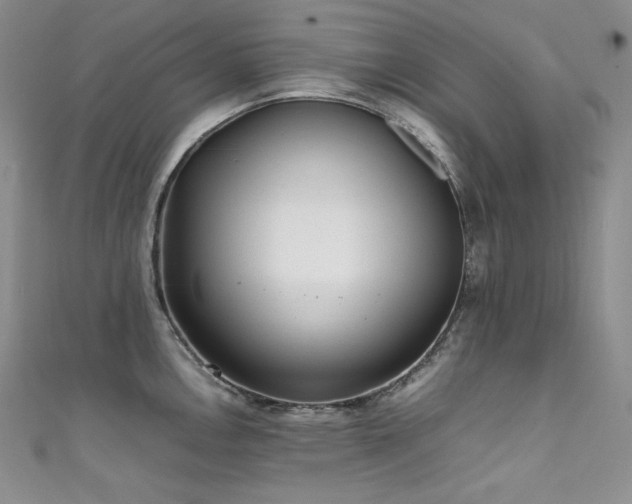 X0000111531146200907141523