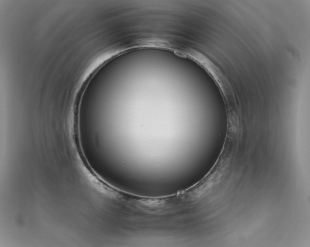 X0000111531147200907141523