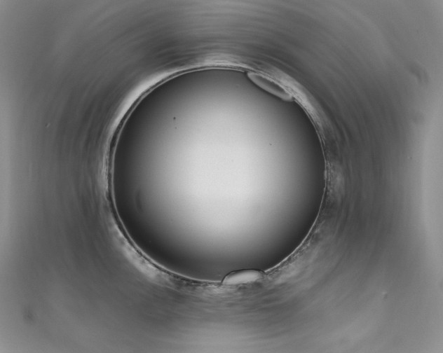 X0000111531148200907141523