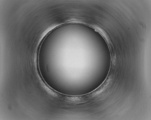 X0000111531149200907141523