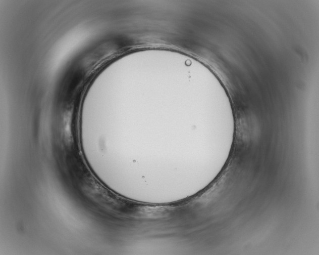 X0000111531150200907141523