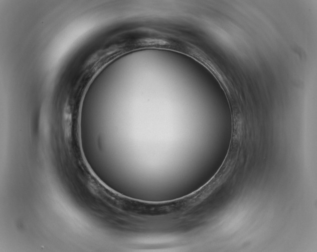 X0000111531151200907141523