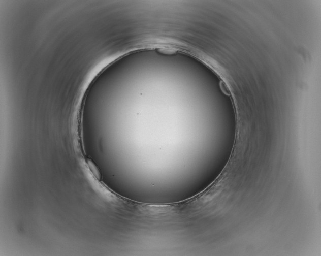 X0000111531152200907141523