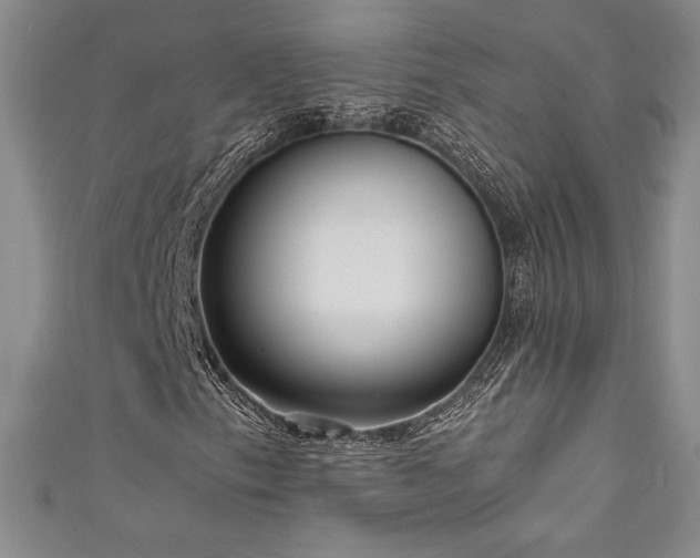 X0000111531153200907141522