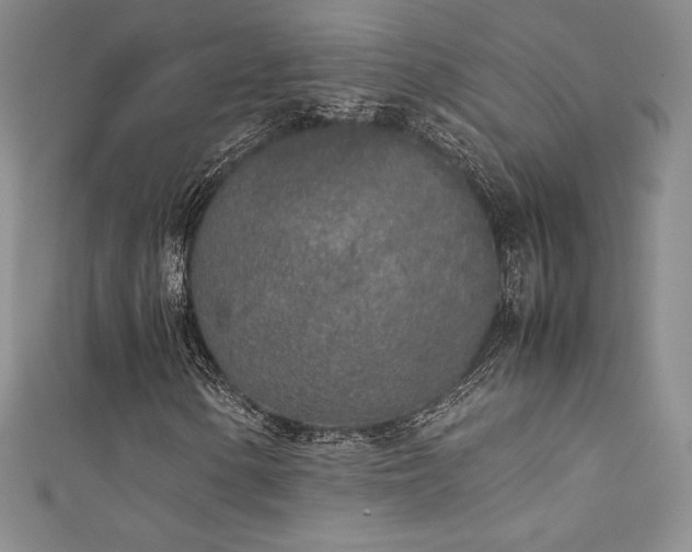 X0000111531154200907141522