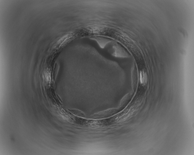 X0000111531155200907141522